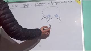 Topic B and T cell epitopes [upl. by Latsryk101]