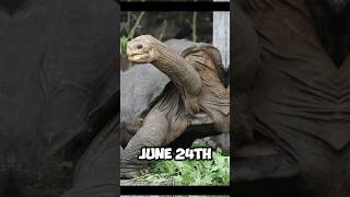 Lonesome George The Last of His Kind animals [upl. by Ennoitna]