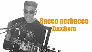 Bacco perbacco Zucchero Cover acustica di Massimo Allegri [upl. by Arahsat]