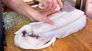 Japanese Street Food  GIANT SQUID Fried Calamari Sashimi Okinawa Seafood Japan [upl. by Kcirddet]