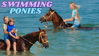 WE WENT SWIMMING WITH HORSES IN DUBAI [upl. by Walley]