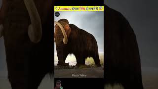 amazingfacts extinct factsinhindi factscience animals animalfacts interestingfacts topfacts [upl. by Keyek173]