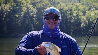 Summertime Crappie Fishing at Brookville Lake [upl. by Dysart]