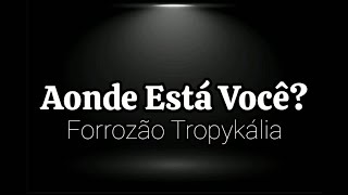 PLAYBACK Forrozão Tropykália  Aonde Está Você [upl. by Jacquetta]