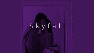 Skyfall Speed [upl. by Lorinda]