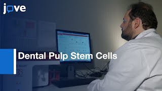 Dental Pulp Stem Cells Neuronal Differentiation  Protocol Preview [upl. by Ardith]