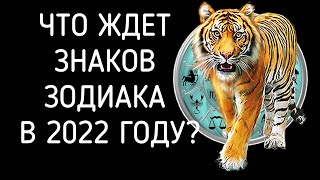 ЧТО ЖДЕТ ЗНАКОВ ЗОДИАКА В 2022 ГОДУ ЧЕРНОГО ВОДЯНОГО ТИГРА КАКИМ БУДЕТ 2022 ГОД ТИГРА [upl. by Brita800]