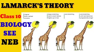 lamarckism theory of evolution  Nepali Biology Science [upl. by Ierna]