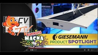 MACNA 2017 Giesemann Aquaristic [upl. by Gilud]