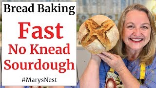 No Knead Sourdough Bread Recipe  FAST and FOOLPROOF [upl. by Olsson149]