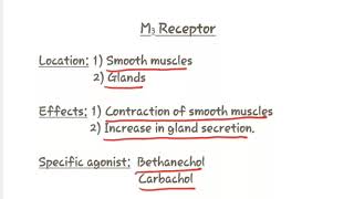 Location and action of cholinergic receptors cholinergic receptor [upl. by Litha185]