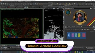 HoudiniArnoldShadingLookDev01 [upl. by Moclam631]