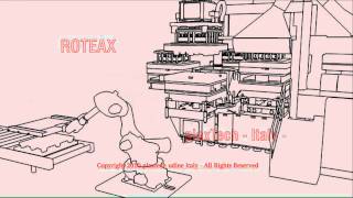 ROTEAX PLASTIC PALLET MACHINERY 4 [upl. by Tarrel108]