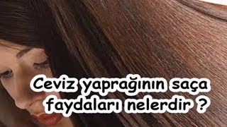 Ceviz yaprağının saça faydaları nelerdir [upl. by Lilahk]