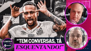 NEYMAR DE VOLTA AO SANTOS RICARDINHO EXPLICA PLANO E ATÉ O POSSÍVEL TÉCNICO DO PEIXE PARA 2025 [upl. by Dare505]