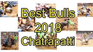 ஜல்லிக்கட்டு 2018 சிறந்த காளைகள் Best Bulls 2018  Chatrapatti Jallikattu HD [upl. by Chon]