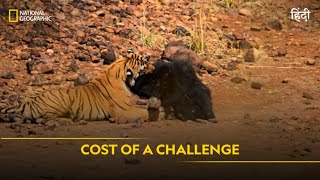 Cost of a Challenge  Animal Fight Club  हिन्दी  Full Episode  S4  E8  National Geographic [upl. by Inalaehak]