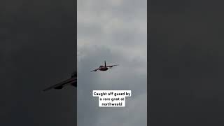 FOLLAND GNAT first time spot planespotting aviation aviationlovers redarrows shorts shortfeed [upl. by Aydin470]