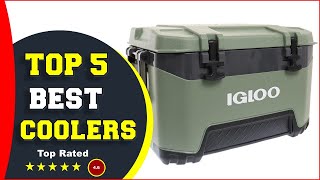 Are These the BEST BudgetFriendly Coolers Ever [upl. by Verdha906]