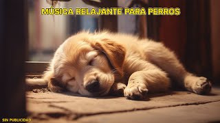 🐶Música Relajante Para Calmar Mascotas 💛 MUSICOTERAPIA Para Gatos Y Perros Inquietos O Nerviosos [upl. by Notwal]