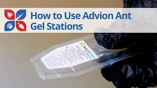 How to Use Advion Ant Gel Stations  DoMyOwncom [upl. by Sivert105]