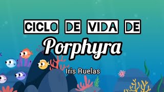 Ciclo de vida del alga Porphyra  canción infantil uamiztapalapa UAMI microbiology [upl. by Norvil58]