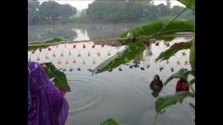 some women are bathing in the pond [upl. by Bertelli]