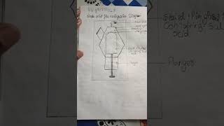 Class 8 science chapter 4 combustion and flame soda acid fire extinguisher diagram cbse study [upl. by Noswad]