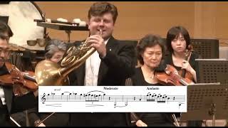 Cadenza mozart k495  concerto n4 Mozart  Radek Baborak [upl. by Yerffoeg]