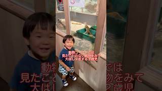 【沖縄旅行】沖縄のかりゆし水族館に行ってみた！ 赤ちゃん 子供 水族館 沖縄 南部 観光 okinawa sightseeing trip [upl. by Ailgna]