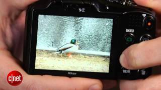 Nikon Coolpix L610 review Betterthanbasic 14x zoom compact [upl. by Zak]