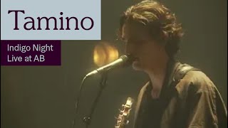 Tamino  Indigo Night Live at AB  Ancienne Belgique [upl. by Coralyn]