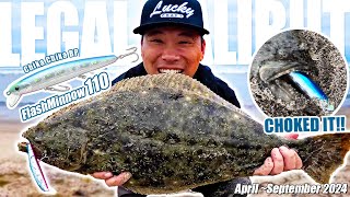 【California Surf Fishing】Flashminnow 110  2024 April to September Highlights【Benjie Kim】 [upl. by Esilenna]