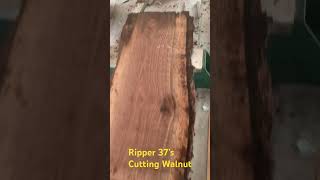 Sawing the Most Expensive Wood Around sawmill ripper37 [upl. by Stephannie]