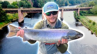 EPIC Salmon Fishing at Cargill  River Tay [upl. by Weslee]