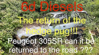 The return of the hedge Pugcan the 305SR be made road legal for the festival of the unexceptional [upl. by Aeduj]