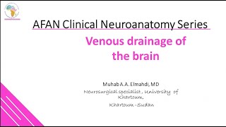 AFAN Venous drainage of brain Neuro anatomy course [upl. by Standish]