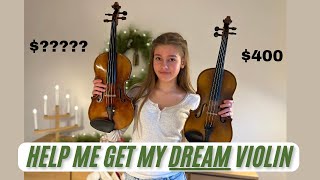 My DREAM Violin  Comparison and GoFundMe Link 🎻 [upl. by Atinaujnas]