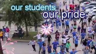 KU Orlando Seahawk Swag Video [upl. by Jessica]