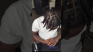 Retwist  Dreads [upl. by Aicilla200]