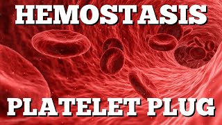 Primary Hemostasis Platelet Plug Formation StepbyStep Animation [upl. by Drobman]