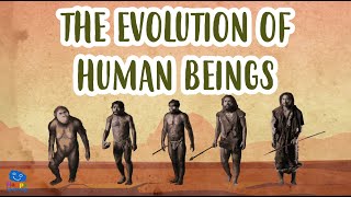 THE EVOLUTION OF HUMAN BEINGS  Human Evolution  Educational Videos for Kids [upl. by Eibbil]