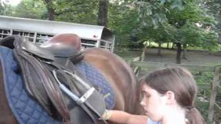 How to Tack Up a Horse school project [upl. by Haldas]