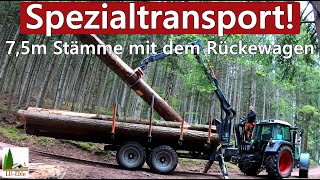 Spezialtransport 75m Stämme mit dem Rückewagen  BMF 14T2Pro amp Fendt 312 Vario [upl. by Elwyn803]