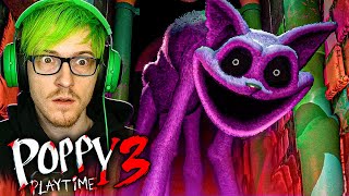 CATNAP IS FINALLY HERE Poppy Playtime Chapter 3 Release Date Trailer Reaction [upl. by Mit]