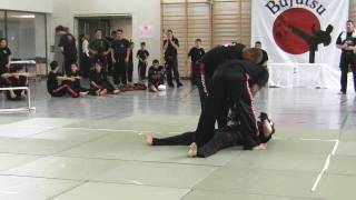 Bujutsu  Werner Zweifel vs Joel Rodriguez [upl. by Hgielra]