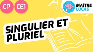 Le singulier et le pluriel CP  CE1  Cycle 2  Français  étude de la langue Lecture [upl. by Emory]