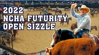 2022 NCHA Futurity Open Finals Sizzle [upl. by Washington]