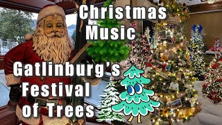 Enjoy Gatlinburgs Festival of Trees with Christmas Music Vlogmas Smoky Mountains [upl. by Landis417]