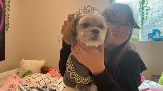 ASMR  My Dog is the King and We’re His Subjects [upl. by Heller]